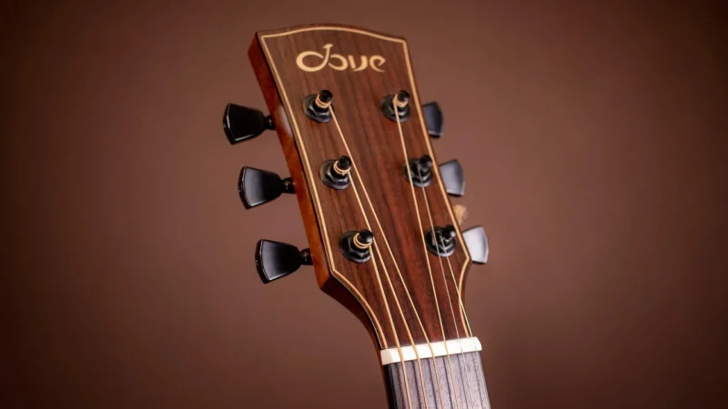 Czego życzy się gitarzyście